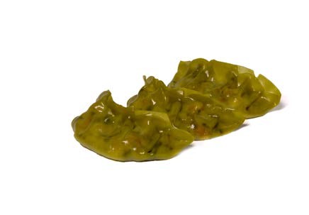 Gyoza de verduras